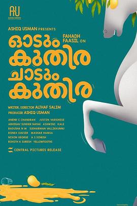 神幻拍档 封面图